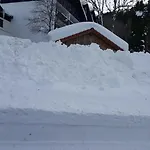 아파트 Friado Im Oa - Ohne Zusatzkosten Nach Anreise - Mit Hallenbad, W-lan, Pkw-garage, Kurtaxe Mit Allgaeu-walser-pass, Bett- Und Handtuch-waesche Sowie End-reinigung *