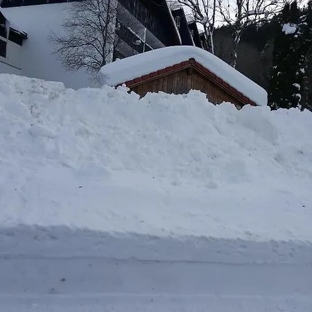 Apartamento Friado Im Oa - Ohne Zusatzkosten Nach Anreise - Mit Hallenbad, W-lan, Pkw-garage, Kurtaxe Mit Allgaeu-walser-pass, Bett- Und Handtuch-waesche Sowie End-reinigung *