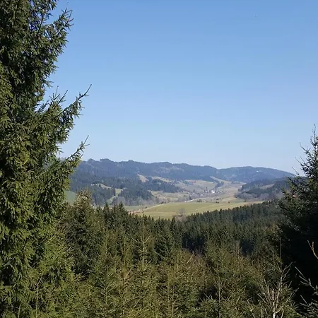 Friado Im Oa - Ohne Zusatzkosten Nach Anreise - Mit Hallenbad, W-lan, Pkw-garage, Kurtaxe Mit Allgaeu-walser-pass, Bett- Und Handtuch-waesche Sowie End-reinigung アパート *